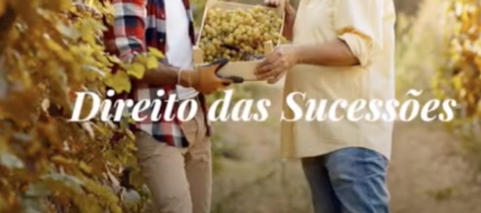 Direito de Sucessões